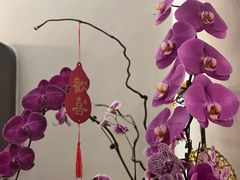 -彬媽糖水(侨鑫国际店)