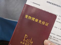 -派联宠物医院·24h·CT·异宠