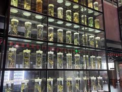 -广东中医药博物馆