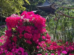 -广州市白云山风景名胜区