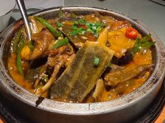 -潇湘甲鱼村(清河店)