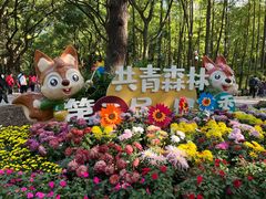 -上海共青森林公园