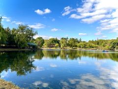 -上海共青森林公园