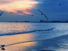 -老虎石海上公园