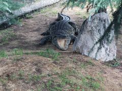 -石家庄市动物园