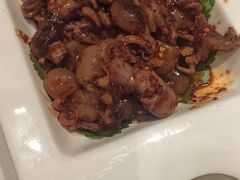 拌八带-宝轩渔府·老字号海鲜·正宗津菜(水上店)