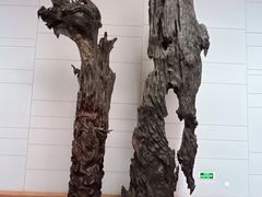 -峨眉山世纪阳光大酒店(峨眉高铁站店)