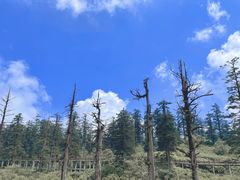 -瓦屋山景区