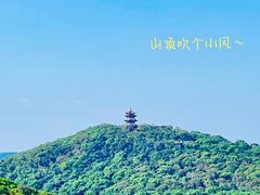 -宝界山林公园