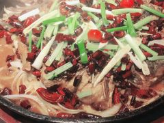 -老板恋上鱼(恒隆广场店)