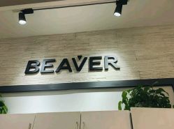 -798·beaver海狸荟