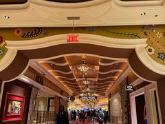 -拉斯维加斯永利酒店