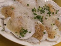-鸿达渔港