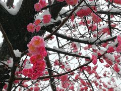 -贵阳市花溪国家城市湿地公园