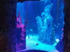 -沈阳海洋探索中心