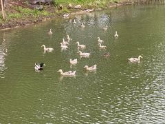 -贡湖湾湿地公园