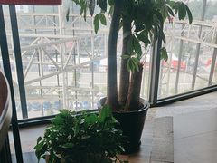 -北方家宴(番禺永旺店)