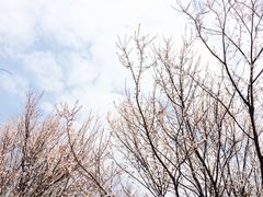 -西湖风景区-江洋畈生态公园