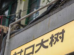-村口大树(长乐路店)