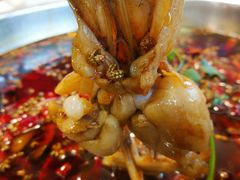 美蛙-味之绝热血美蛙鱼火锅(中坝店)