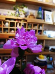 -今日陶艺(富力广场店)