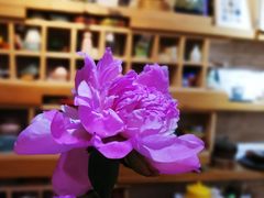 -今日陶艺(富力广场店)