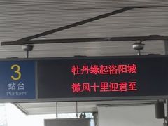 -小街天府(西工小街店)