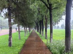 -汉长安城未央宫国家考古遗址公园