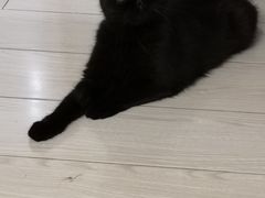 -瑞派宠物医院·24小时骨科·心脏·核磁(哈尔滨南岗店)