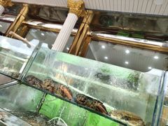 -四海鲜渔家菜(黄金海岸店)