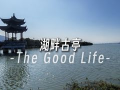 -漩门湾国家湿地公园