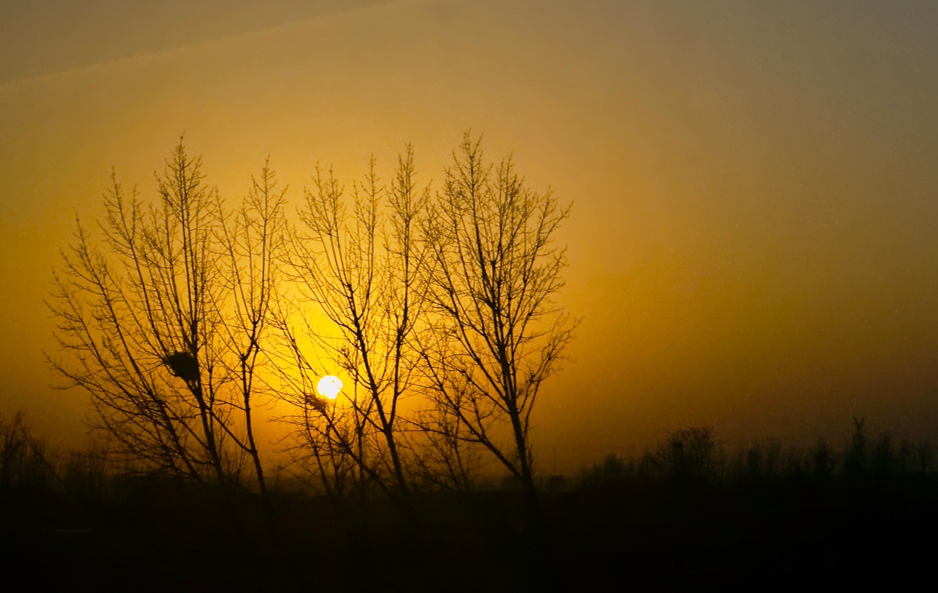 晚霞不会让你行止于郑州街头