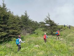 -白草畔自然风景区