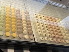 -BLACKSWAN黑天鹅(环球店)