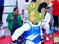 -陈中跆拳道(中关村馆)