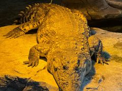 -泉城欧乐堡海洋极地世界