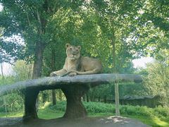 -北京野生动物园