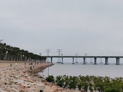 -宝安西湾红树林湿地公园