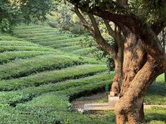 -敬亭山风景名胜区