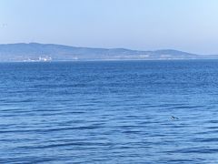 -悦海公园