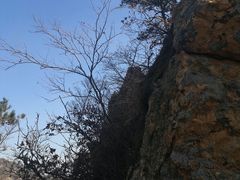 -大连天门山国家森林公园