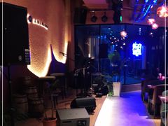 -Ambra Haus琥珀屋精酿餐厅(宝山店)