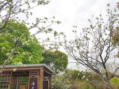 -昆山城市生态森林公园