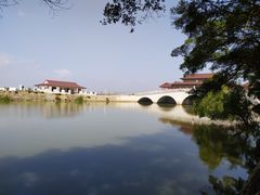 -大湾区中央湿地公园