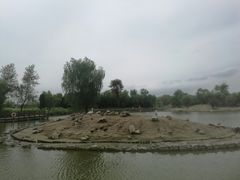 -盐城丹顶鹤湿地生态旅游区