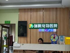 -瑞鹏宠物医院·夜间急症·心超·猫科(祖庙分店)