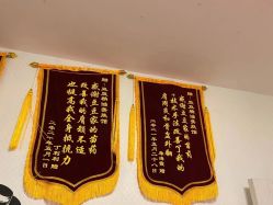 -程氏苗堂苗技养生