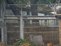 -昆明动物园