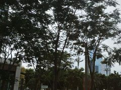 -混果汁(前海嘉里中心店)
