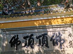 -普陀山风景区-佛顶山